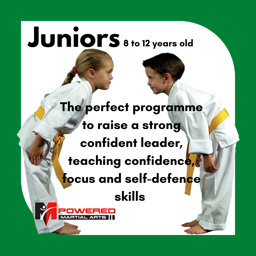 MPowered Martial Arts Junior classes