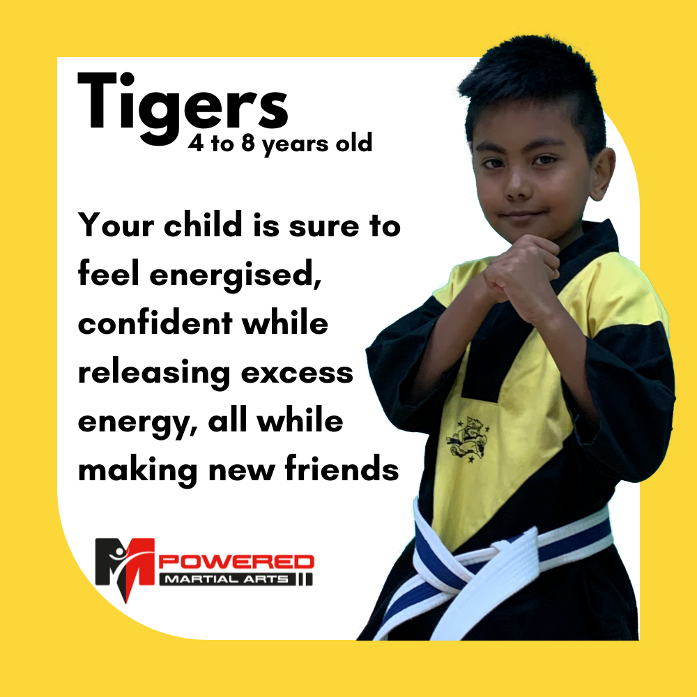 MPowered Martial Arts Tigers classes